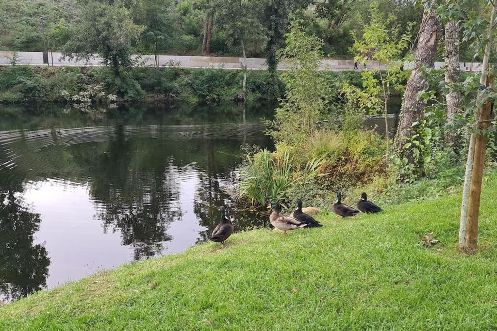 Nature E Spa Al - Termas Saude E Beleza, Totalmente Renovado - Piscinas Municipais Em Frente - Epoca Julho A Setembro São Pedro do Sul Extérieur photo