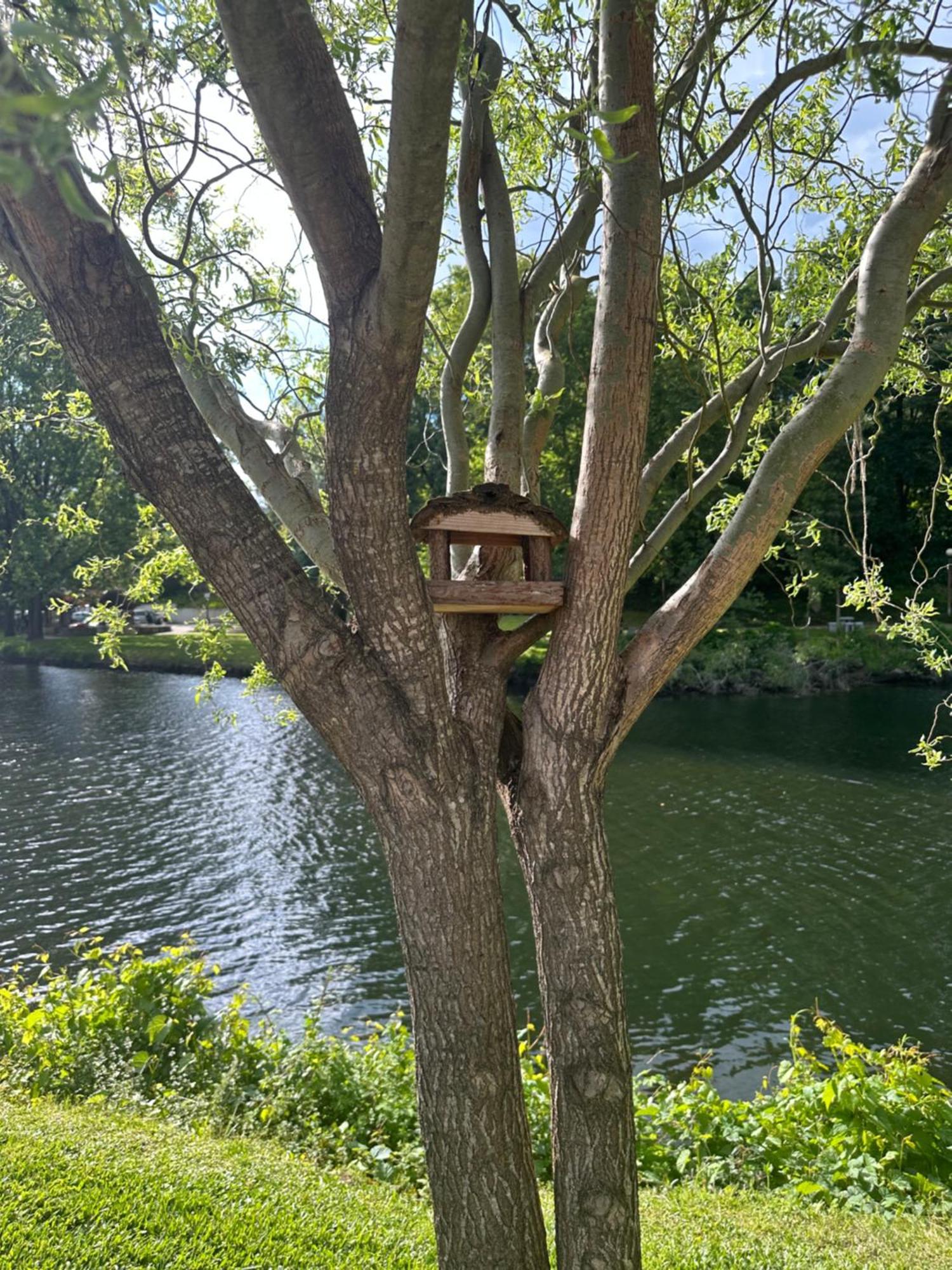 Nature E Spa Al - Termas Saude E Beleza, Totalmente Renovado - Piscinas Municipais Em Frente - Epoca Julho A Setembro São Pedro do Sul Extérieur photo